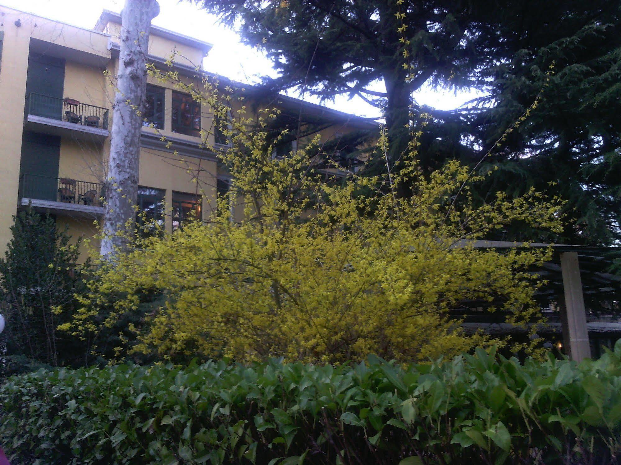 Hotel Salus Salice Terme Exterior foto
